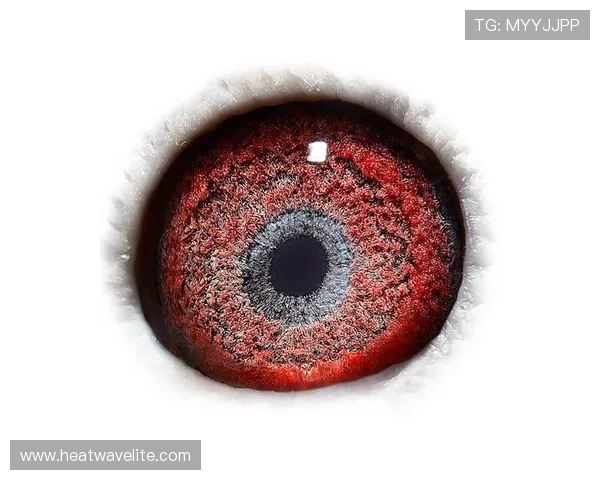 AG国际:便捷的存取款方式实现极速资金周转体验 AG国际:便捷的存取款方式实现极速资金周转体验