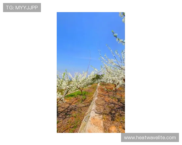 ag厅k8登录线路更新动态，掌握最新登录渠道信息