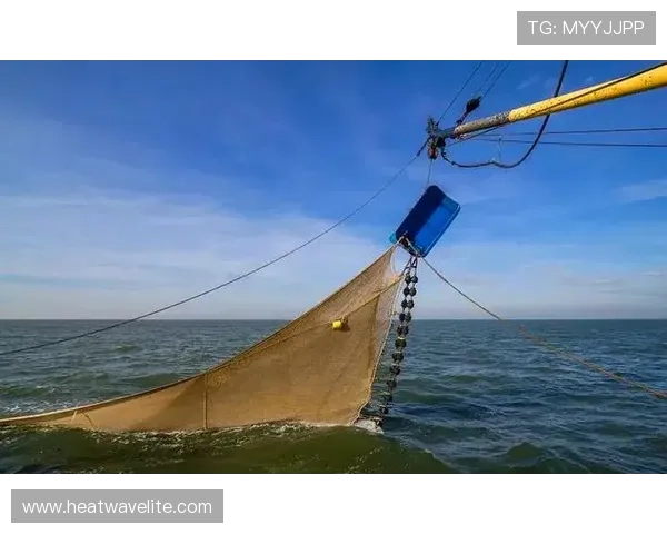 如何在K8扑鱼游戏中快速提升等级和捕鱼技巧的实用攻略